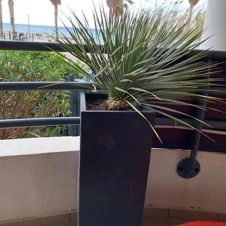 J'Ai Reve De La Ciotat Face A La Mer … Apartment La Ciotat